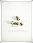 Six-lobe torx flat head semi-tubular rivets and screws,combination female-male screws
