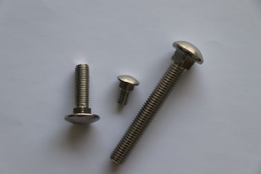 Stianless Steel Carriage Bolt Customized Size M5-M20 Bolts Polishing Finish Surface