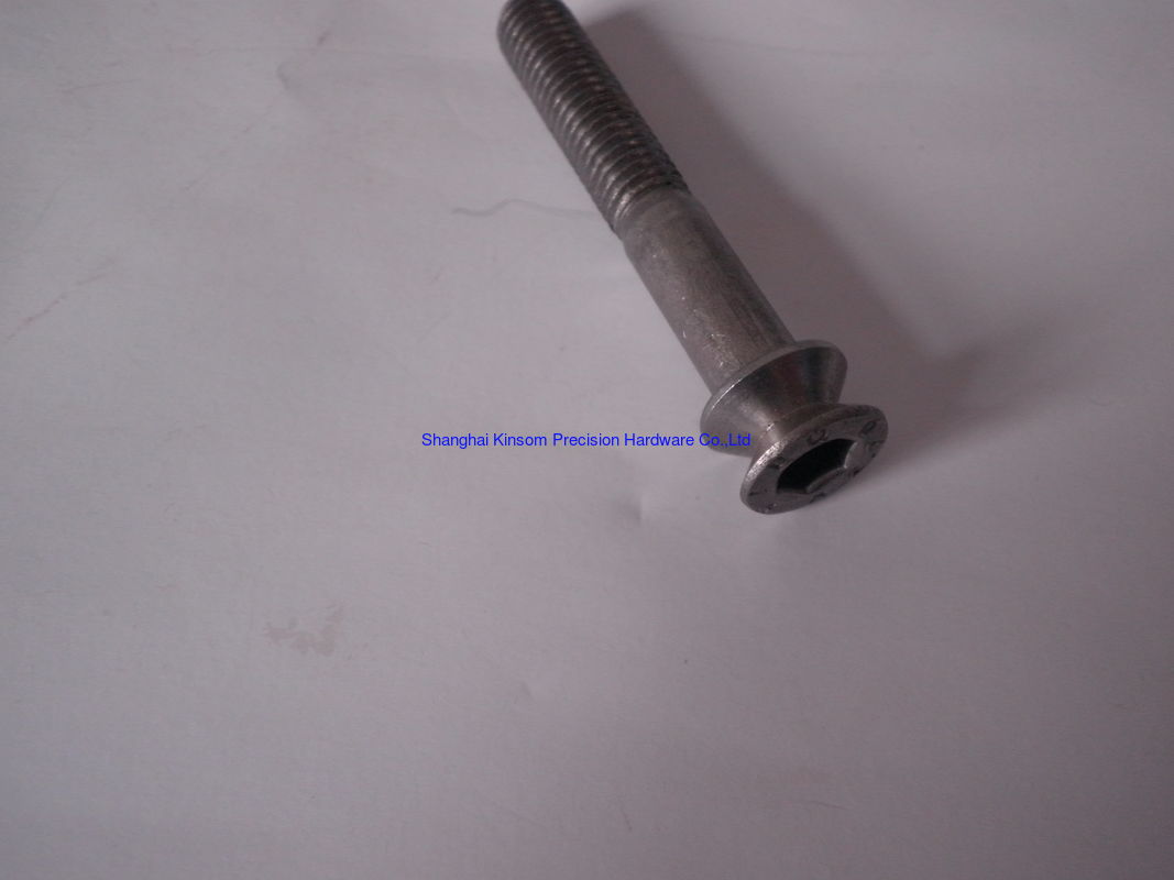 Stainless Steel Non-standard Type bolts,special bolts