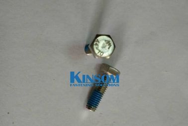 Cold formed speciality stainless steel 316 hex screws A4-70